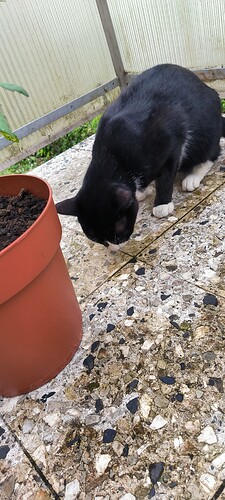 Growreport Bild 9