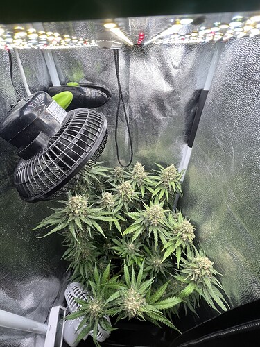 Growreport Bild 13