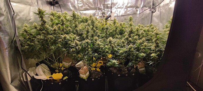Growreport Bild 28