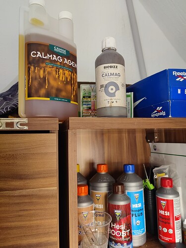 Growreport Bild 24