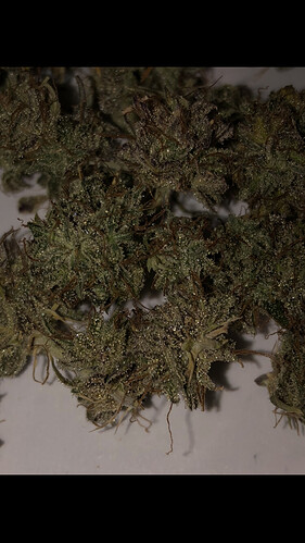 Growreport Bild 8
