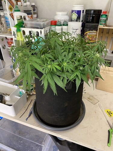 Growreport Bild 18
