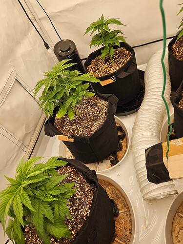 Growreport Bild 19