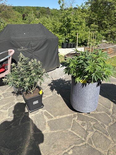 Growreport Bild 9