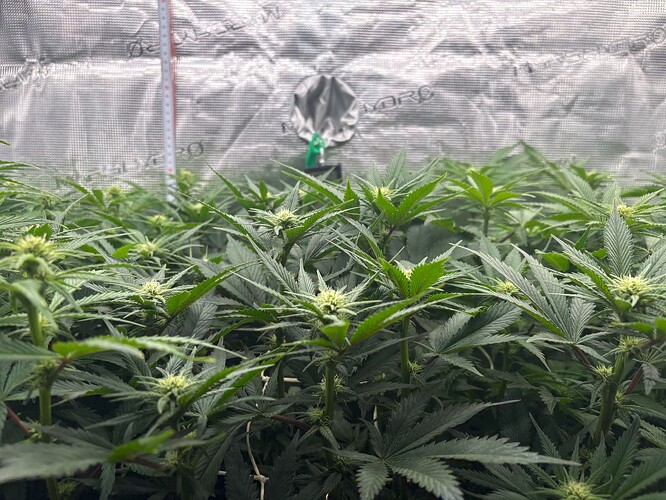 Foto 03.01.26, 06 40 08