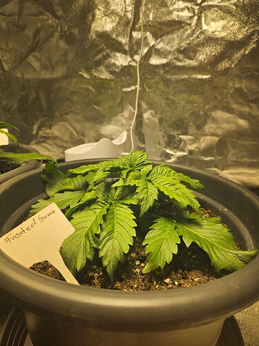Growreport Bild 22