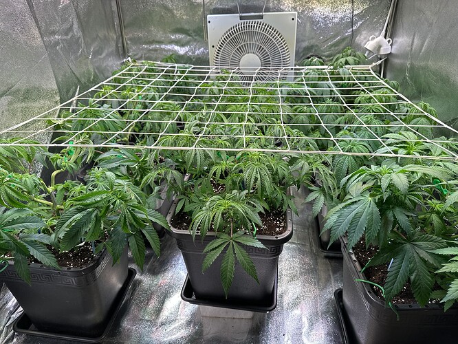 Growreport Bild 9
