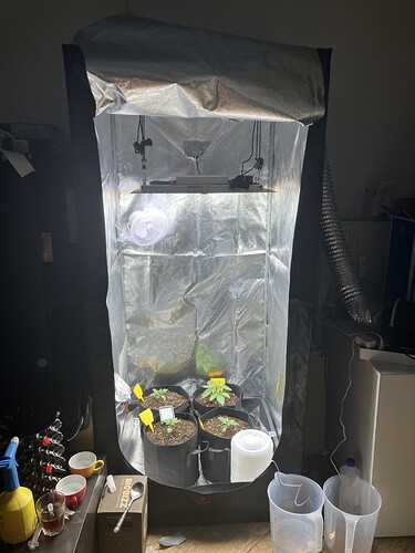 Growreport Bild 3
