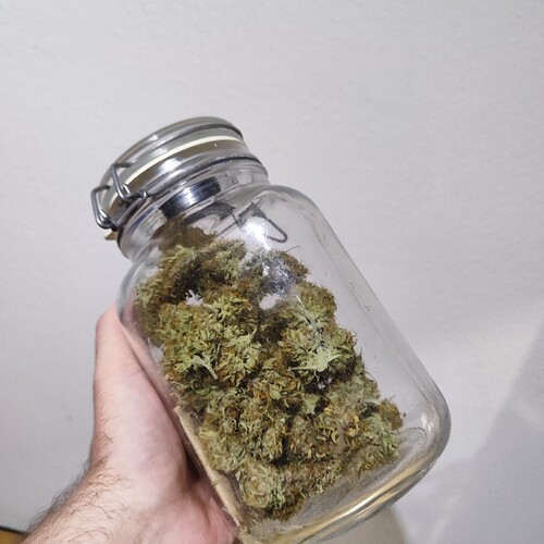 Growreport Bild 2
