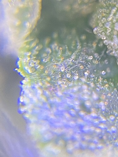 Growreport Bild 14