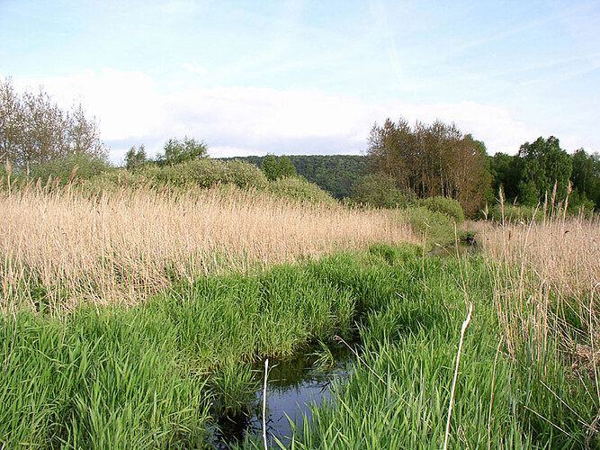 Landschaft