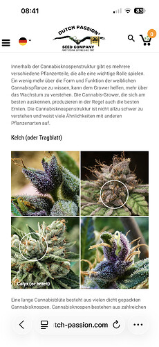 Growreport Bild 90