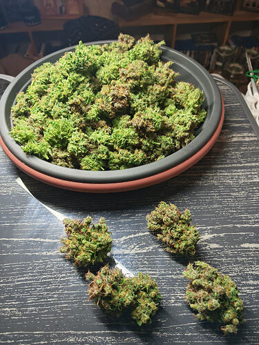 Growreport Bild 14