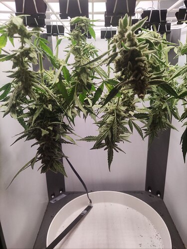 photo_3_2024-08-23_20-47-18