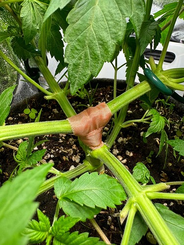 WhatsApp Image 2024-07-02 at 19.33.38