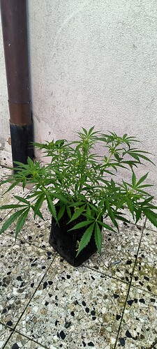 Growreport Bild 10