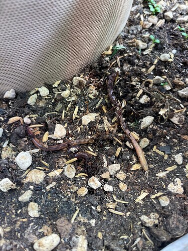 Growreport Bild 15