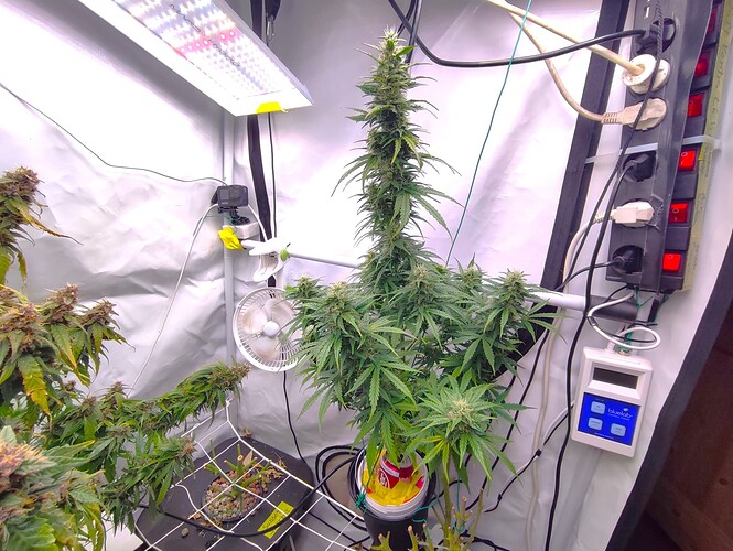 Growreport Bild 10