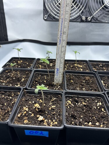 Growreport Bild 13