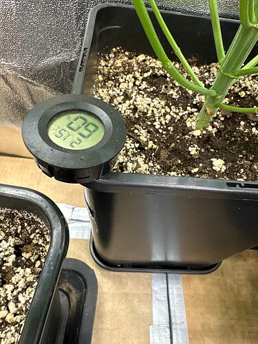Growreport Bild 10