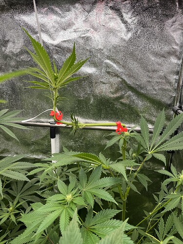 Growreport Bild 11