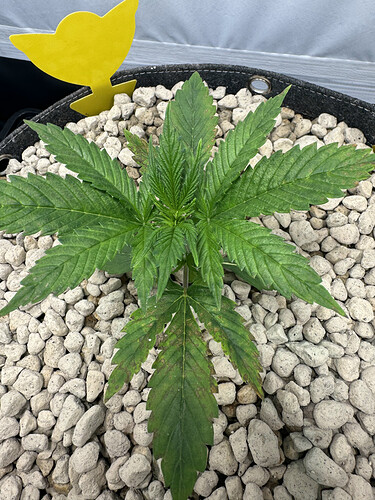 20240424_042949169_iOS