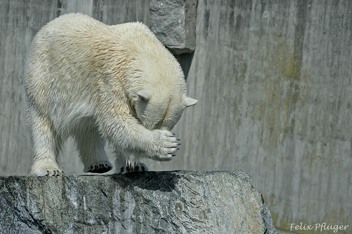 ich-schaeme-mich-f1424633-35e2-46fe-bc90-3f1a4d1c72d9