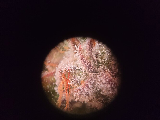 Growreport Bild 10