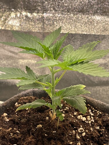 Growreport Bild 18