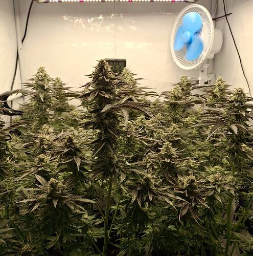 480325347_122168455358293599_3653783550992156043_n