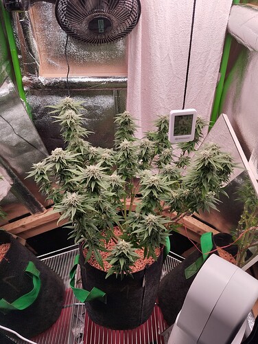 Growreport Bild 10