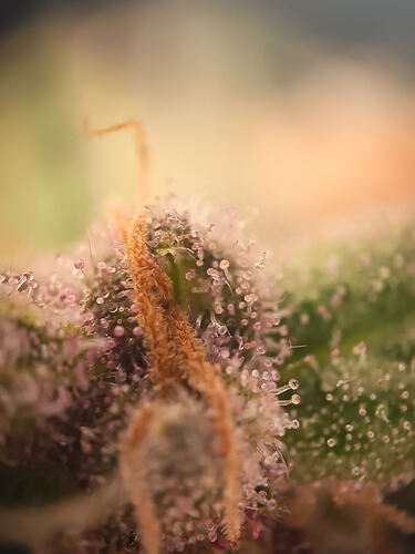 IMG_20260418_123232