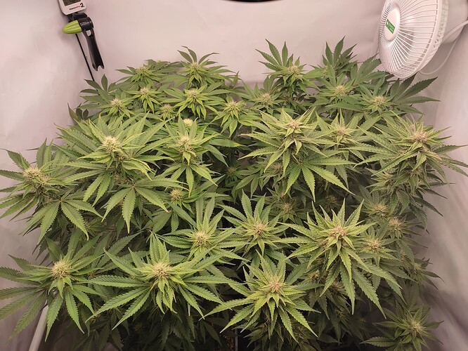 Growreport Bild 23