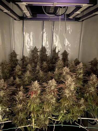 Growreport Bild 16
