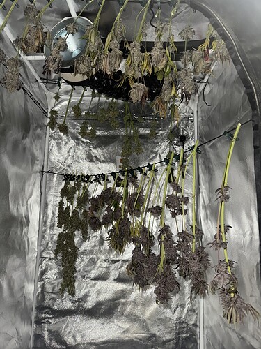 Growreport Bild 55