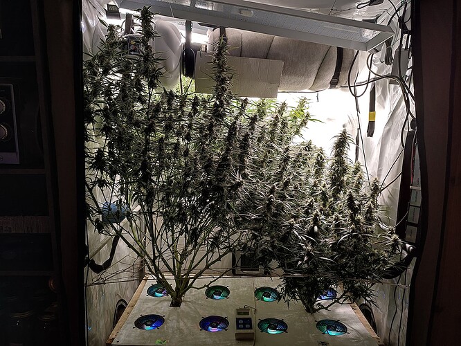 Growreport Bild 8