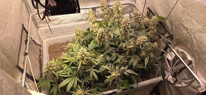 Growreport Bild 6