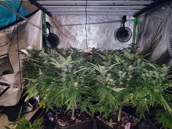 Growreport Bild 19