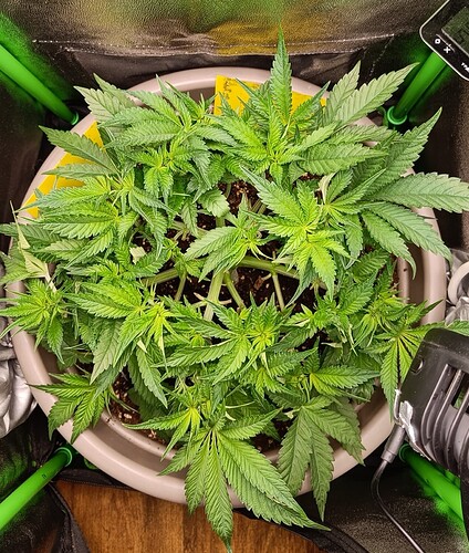 Growreport Bild 8
