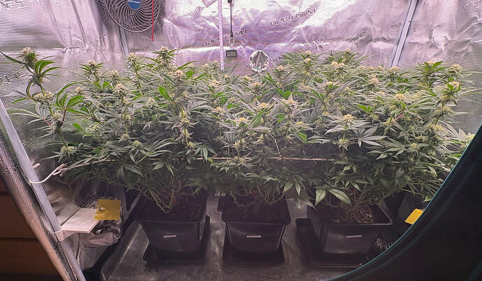 Foto 17.01.26, 06 03 20