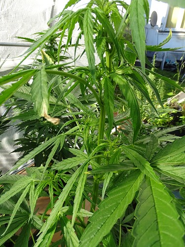 Growreport Bild 16