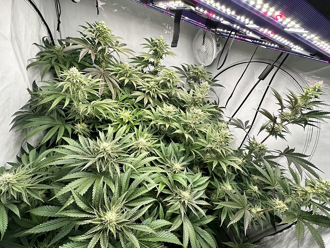 Growreport Bild 26