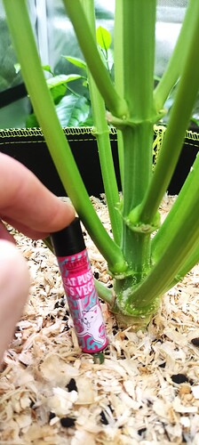Growreport Bild 18