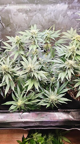 Growreport Bild 21