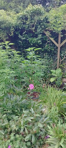 Growreport Bild 15