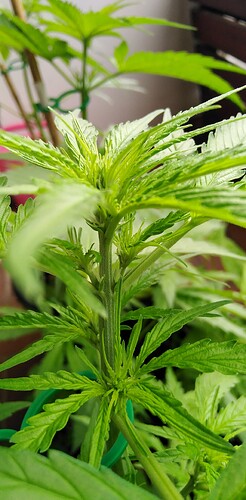 Growreport Bild 18