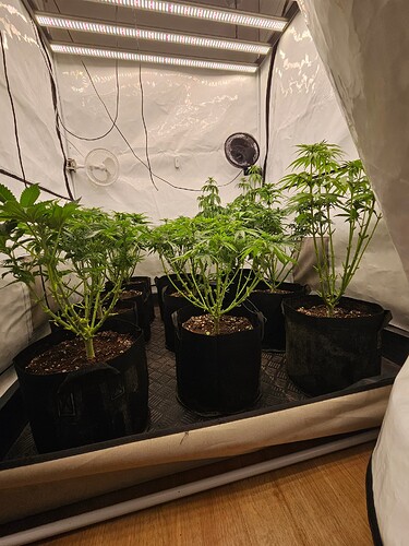 Growreport Bild 2