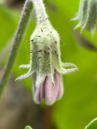 Growreport Bild 28