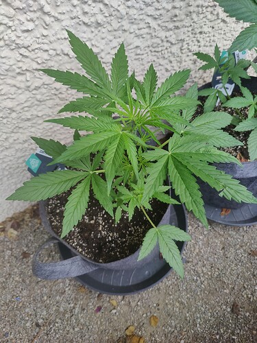 Growreport Bild 10