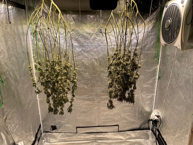 Growreport Bild 1